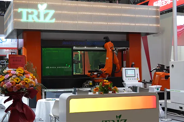 Máquina de corte a laser 3D de 16 eixos e estação dupla